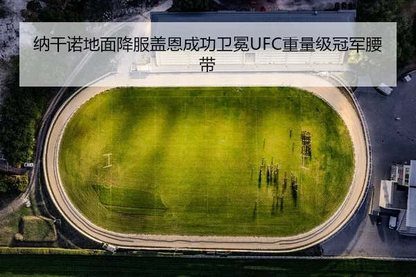纳干诺地面降服盖恩成功卫冕UFC重量级冠军腰带 | lejingt iyu